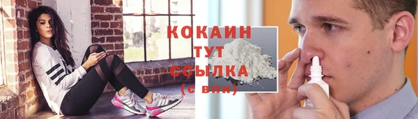 экстази Арсеньев