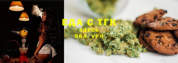 гидра Пионерский