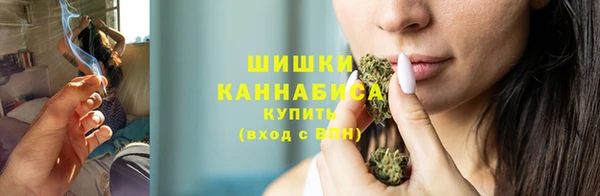 PSILOCYBIN Алзамай