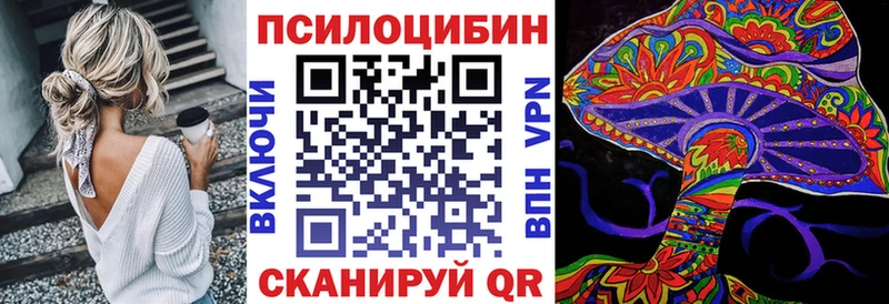 купить наркотики цена Саки Псилоцибиновые грибы прущие грибы