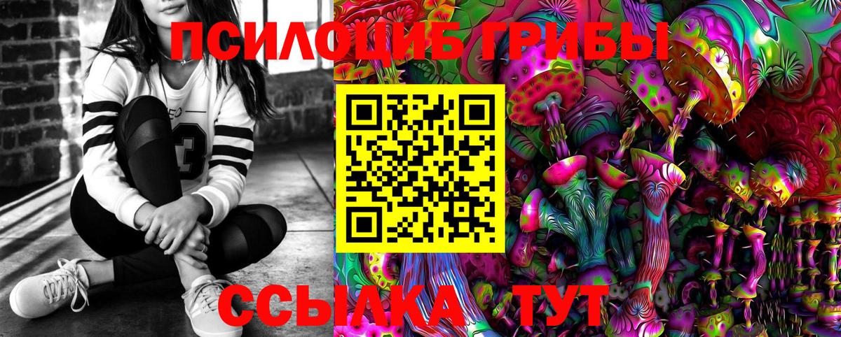 Галлюциногенные грибы Psilocybe Саки