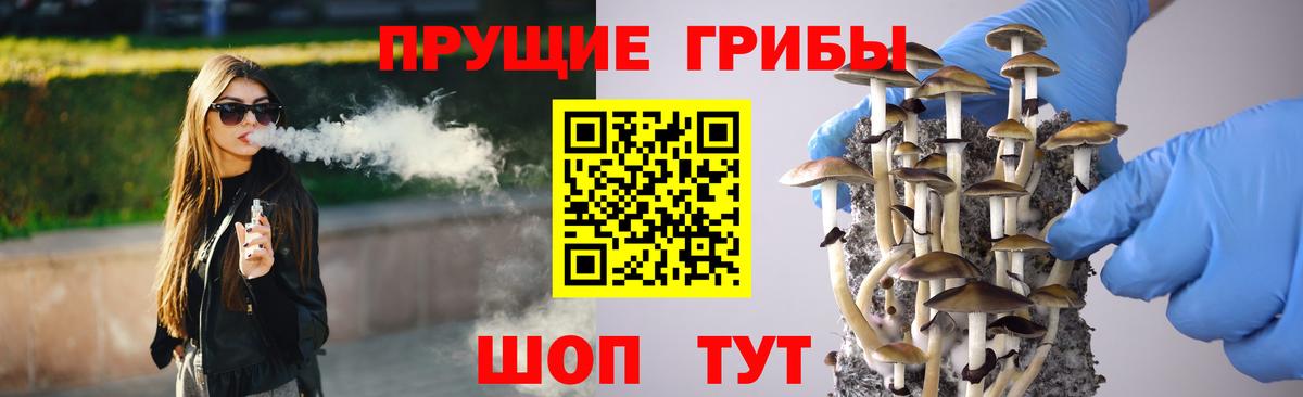 Псилоцибиновые грибы Psilocybe  Вход с VPN  Саки 